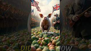 Did You Know a Single Pig Almost Started a War between the US and Britain?