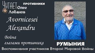 Аворницей Александру. Проект "Война глазами противника" Артема Драбкина. Румыния.