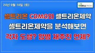 셀트리온과 셀트리온제약의  CDMO사업 연관성ㅣ 셀트리온제약 분석