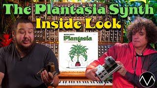 Rare Tour of Iconic "Plantasia” Moog w/ Synth Guru Rob Rosen