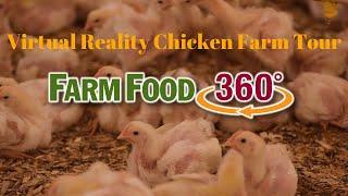 FarmFood360° Virtual Reality Chicken Farm Tour