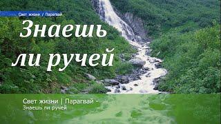 Свет жизни | Парагвай - Знаешь ли ручей