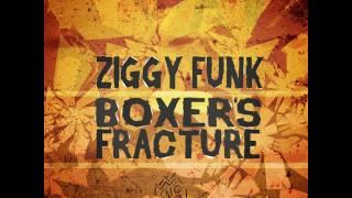 Ziggy Funk - Colour Me Brown