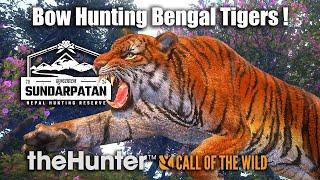 Bow Hunting Bengal Tigers At Sundarpatan Nepal - theHunter Call Of The Wild