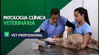 Patologia Clínica Veterinária l VET Profissional