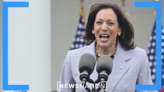 Panel: Is Kamala Harris the future of the Democratic party? | The Hill