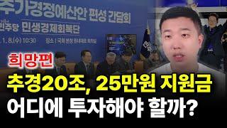 추경20조, 25만원 지원금 어디에 투자해야 할까? (희망편)