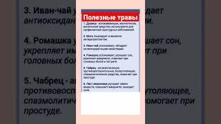 Полезная заметка про травы для чая #здоровьебезтаблеток #здоровьебезхимии #shortvideo #youtubeshorts