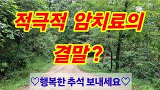 적극적 암치료의 결말?#말기암치료#맨발걷기