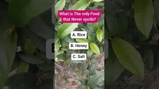 What is The only Food that Never spoils? riddle #puzzle #search #find