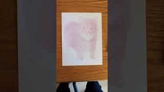 Oia Cat Drawing! #oia #oiiaoiia #catdrawing #catdraw #catart #memeart #memedrawing #memesdaily #art