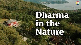 A healthy lifestyle, great, but how? - Dharma and nature with Rogier Hoenders