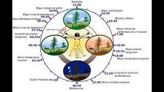 QUE ES LA CRONOBIOLOGIA  Parte 1  #cronobiologia #ritmocircadianomedicina #biorritmos