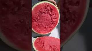WATERMELON Cutting Like You've Never Seen Before!