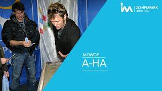 A-HA im Olympiapark München