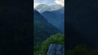 Tosh ke Nazare #venus vlog #shortsvideo #vlog