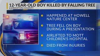 Boy dies after tree falling on his head