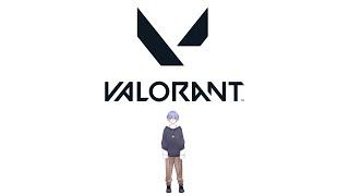 【VALORANT】仲間がいるよん【白雪レイド ありさか 猫汰つな SqLA きなこ】