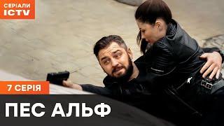 Пес Альф 1 сезон 7 серія | ДЕТЕКТИВИ | СЕРІАЛ ICTV| КОМЕДІЇ