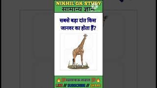 Questions|| GK in Hindi || GK Questions and Answer || GK Quiz || Importanc  #shorts #shortvideo