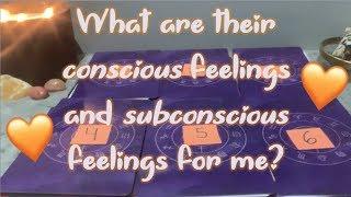 Pick a card  What are their conscious feelings and subconscious feelings for me? (timeless)