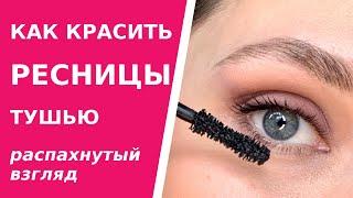 Как красить ресницы тушью? Техника распахнутого взгляда. Как пользоваться тушью правильно.