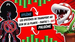 Xylème et Phloème - Les systèmes de transport au sein de la plante - Partie 1 - SVT