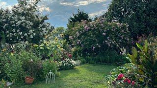 Cottage Garden Tour (June)