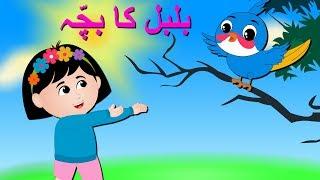 Bulbul Ka Bacha Urdu Poem | بلبل کا بچہ | Urdu Nursery Rhyme Collection for Babies