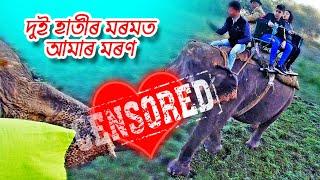 Something Unusual Happened on Kaziranga Elephant Safari | Bitupon Saikia | Kaziranga Vlog | Part - 4