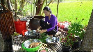 35 / Gà Hấp Bia | Vân Nguyễn Cuộc Sống Miền Tây VN