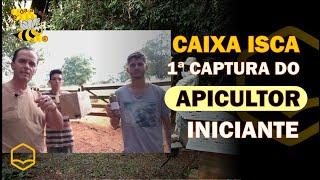 A 1ª CAPTURA DO APICULTOR INICIANTE POR CAIXA ISCA