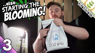 THIS BAG WILL BOOST OUR MINI GROW!  | Bonsanto Mini-Grow-Box