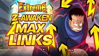 THE BEST OF THIS BATCH MAX LINKS EZA STR HACCHAN IS MUCH BETTER THAN I THOUGHT! (Dokkan Battle)