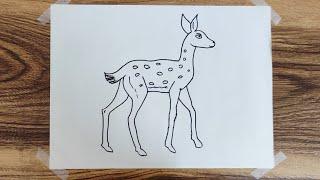 How to Draw a Deer Easy Step | Drawing | Sketch