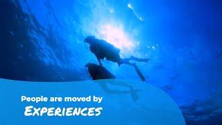 Powering Unforgettable Experience | Travel Technology Solutions