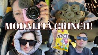 QUASI NATALE: FREDDO IN MONTAGNA/ RICETTE MUFFIN E TORTA DI ROSE #vlog