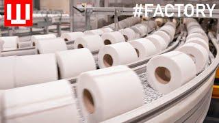 Toilet Paper Factory Tour | How Toilet Paper Is Made In Factory