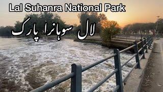 Lal Suhanra National Park Bahawalpur | Places To Visit In Bahawalpur | Places To Visit In Pakistan