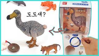 멸종동물 도도새 도도렉스? 캡슐뽑기 리뷰ㅋㅋ | 히히튜브