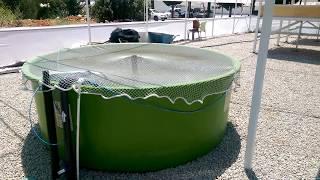 AKUAMAKS FIRST AQUAPONICS PROJECT IN TURKEY