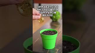 비트코인 65억원의 조건 #비트코인  #비트코인etf #마이클세일러