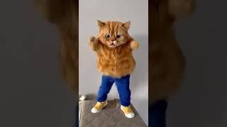  #gatos #guzmancitos