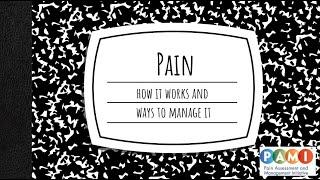 Pain Neuroscience Education 101