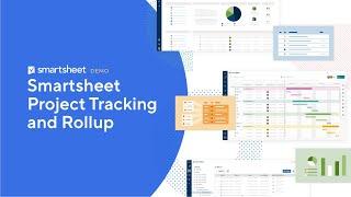 Project Tracking and Roll-up