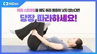 허리 스트레칭을 해도 허리 통증이 낫지 않는다면 당장 따라하세요! (이상근증후군 재활 치료 운동)