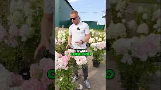 Не Покупайте Саженцы Пока Не Проверите Это!