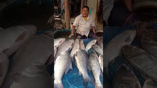 fish market #fishing #villagemarket #fish #shorts