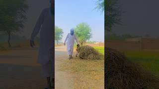 Garib per Allah ki madad#india#ytviral#ytshorts#ytreels#viralvideo#viralmoves#uk#pakistan