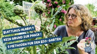 Blattlaus-Alarm! Kein Grund zur Panik - 3 Methoden für den Bio-Garten